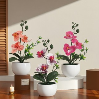Chậu Hoa Lan Hồ Điệp Giả Trang Trí Nhà Cửa Để Bàn Làm Việc Decor Cao Cấp Giống Thật Lụa Phalaenopsis Cây Cảnh Văn Phòng Quà Tặng Sang Trọng Tinh Tế Phụ Kiện Chụp Ảnh Nội Thất Mini Hiện Đại Xinh Xắn Điểm Nhấn Không Gian Ban Công