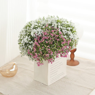 Bó Hoa Baby Giả 12 Cành Gypsophila Bi Nhân Tạo Decor Trang Trí Nhà Cửa Phòng Khách Đám Cưới Tiệc Tùng Phụ Kiện Chụp Ảnh Vintage Cao Cấp Để Bàn Đẹp Tự Nhiên Nhựa Lụa Quà Tặng DIY Sang Trọng Sắp Xếp Bình Thẩm Mỹ Hiện Đại Đa Năng