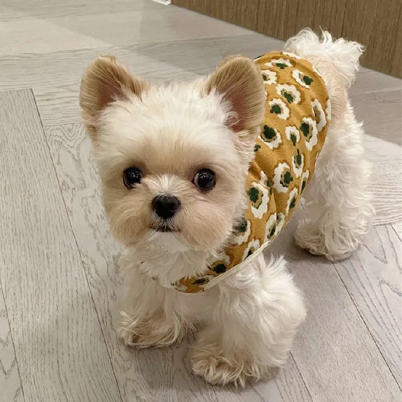 Áo Vest Chó Quần Áo Thú Cưng Teddy Schnauzer Bichon Poodle Mèo Pomeranian Chó Mùa Thu Đông Quần Áo