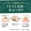Tsubu Polon Daily Patch, 36 pieces - Care for neck, chest, eye area, and décolleté. Peeling treatment with Job's tears seed extract, apricot kernel oil, salicylic acid. Exfoliation care for rough skin, dealing with tiny bumps, spots, and blemishes.- Direc