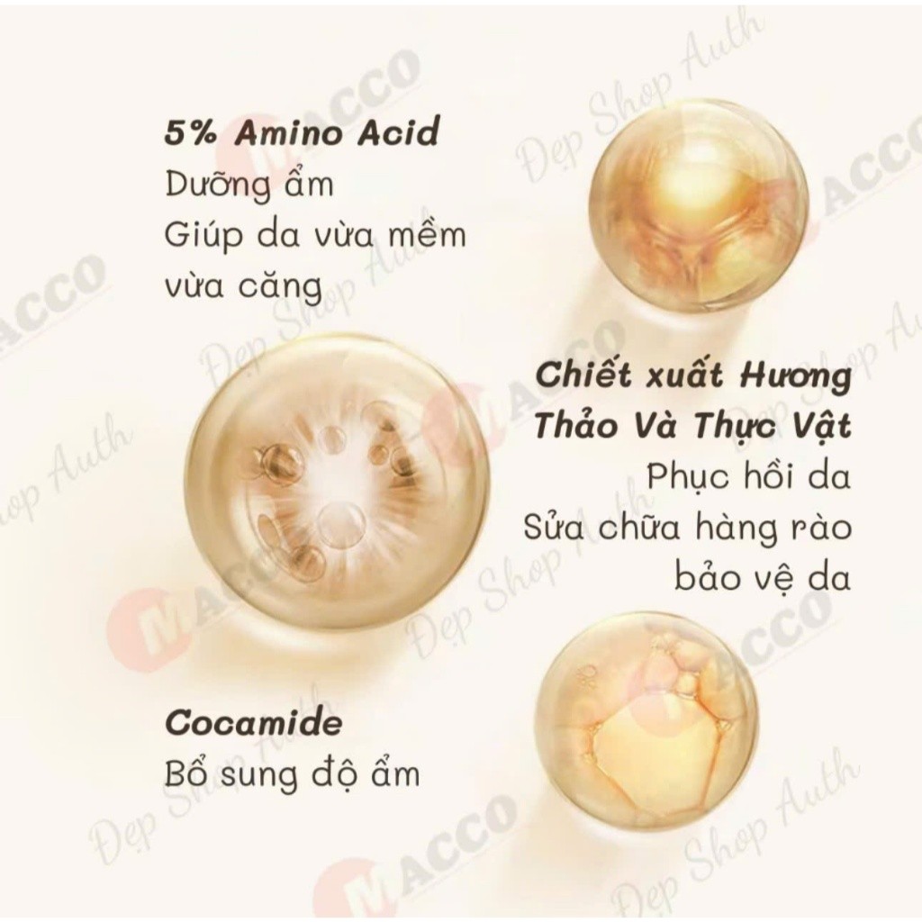 Sữa Tắm RAMZER Nước Hoa Dung Tích Lớn – Hương Thơm Cao Cấp, Làm Đều Màu Da, Lưu Hương Chuẩn Perfume