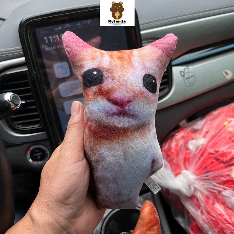 Mới Dễ Thương Meme Mèo Sang Trọng Đồ Chơi Vui Nhộn Mèo Đáng Yêu Sang Trọng Búp Bê Mặt Dây Chuyền Meme Mèo Nhồi Bông Búp Bê Mềm Mại Cho Bé Trang Trí Sofa Nhà Ngộ nghĩnh Quà Tặng Sinh Nhật Cho Trẻ Em Quà Tặng Giáng Sinh
