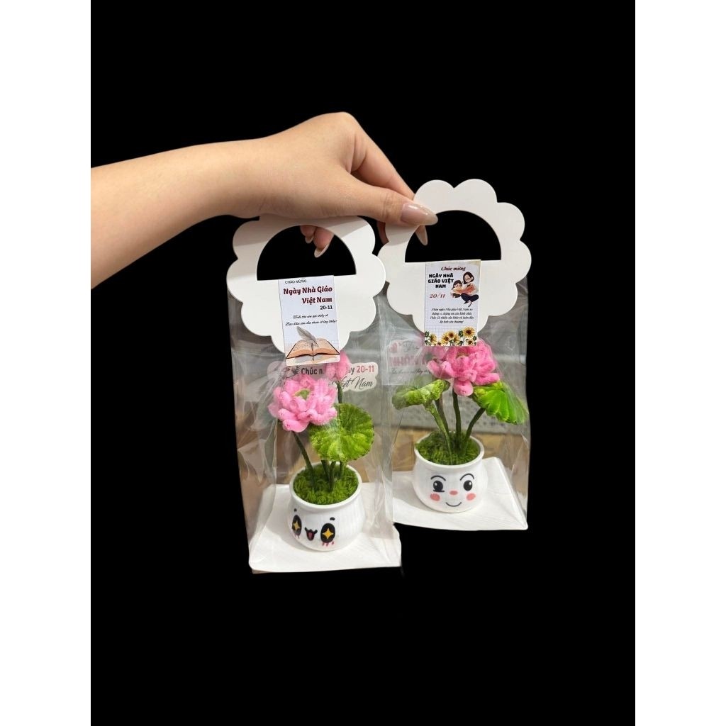 [HỎA TỐC HCM] 10 CÁI TÚI BÓNG KÍNH DÀY KÈM QUAI ĐỰNG HOA MINI ,CÂY THÔNG NOEL, CHẬU HOA MINI SIÊU XINH ANGIHOME