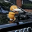 Gatling Psyduck Sang Trọng Búp Bê Sáng Tạo Mái Xe Trang Trí Phía Sau Dễ Thương Nhân Vật Hành Động Đồ Chơi Vịt Trang Trí