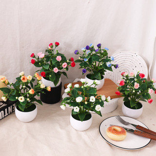 Chậu Hoa Hồng Giả Mini Trang Trí Để Bàn Cây Cảnh Decor Nhà Cửa Bông Lụa Cao Cấp Trưng Bày Văn Phòng Kệ Sách Đạo Cụ Chụp Ảnh Phong Cách Bắc Âu Hiện Đại Bonsai Nhỏ Màu Sắc Tươi Sáng Kèm Chậu Nhựa Trắng Bền Đẹp Xinh Xắn
