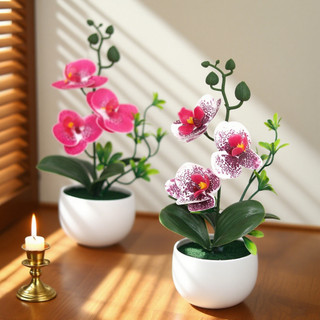 Chậu Hoa Lan Hồ Điệp Giả Trang Trí Nhà Cửa Để Bàn Làm Việc Decor Cao Cấp Giống Thật Lụa Phalaenopsis Cây Cảnh Văn Phòng Quà Tặng Sang Trọng Tinh Tế Phụ Kiện Chụp Ảnh Nội Thất Mini Hiện Đại Xinh Xắn Điểm Nhấn Không Gian Ban Công