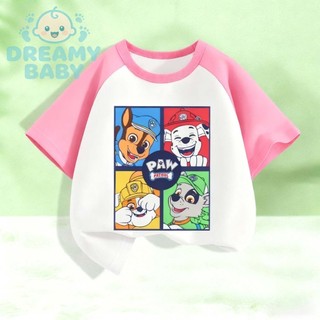 COD✅ (Hồ Chí Minh)DREAMY BABY thun bé trai Paw Patrol, áo phông raglan cho bé chất cotton mềm mịn thoáng mát