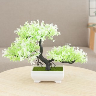 [BÁN] Chậu Cây Cảnh Nhân Tạo Cây Thông May Mắn Cây Giả Hoa Trang Trí Nhà Phòng Khách Văn Phòng Để Bàn Trang Trí Trong Nhà Nhựa Thẩm Mỹ Quà Tặng Cây Xanh