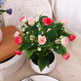 Chậu Hoa Hồng Giả Mini Trang Trí Để Bàn Cây Cảnh Decor Nhà Cửa Bông Lụa Cao Cấp Trưng Bày Văn Phòng Kệ Sách Đạo Cụ Chụp Ảnh Phong Cách Bắc Âu Hiện Đại Bonsai Nhỏ Màu Sắc Tươi Sáng Kèm Chậu Nhựa Trắng Bền Đẹp Xinh Xắn