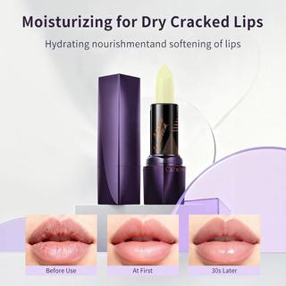 Catkin Lip Balm Dưỡng Ẩm Chăm Sóc Môi Chăm Sóc Son Dưỡng Môi Ban Đầu Son Dưỡng Môi