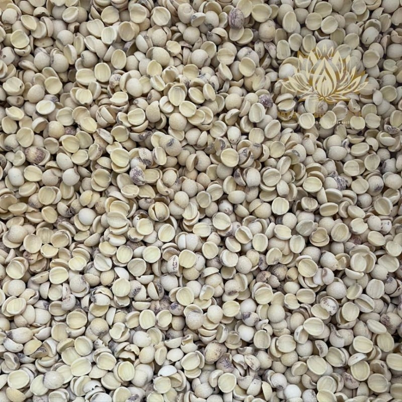 500g Hạt Sen Vỡ Trắng - Nấu Thơm - Giàu Dinh Dưỡng | Hạt Sen Tươi Đồng Tháp
