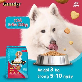 Thức ăn hạt cho chó 3kg Ganador phát triển trí não, bảo vệ súc khỏe