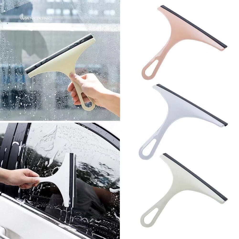 Cây Lau Kiếng - Hình Ảnh Thực Tế