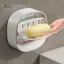 PlumHOUSE 1 Hộp Xà Phòng Miễn Phí Đấm Hộp Xà Phòng Treo Tường Hộ Gia Đình Thoát Nước Cao Cấp Lưu Trữ Nước Phòng Tắm Vệ Sinh Kệ Xà Phòng VN
