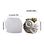 COO Chắc Chắn Silicon Conch Planter Khuôn Thủ Công Hộp Nhựa Trang Trí Quà Tặng