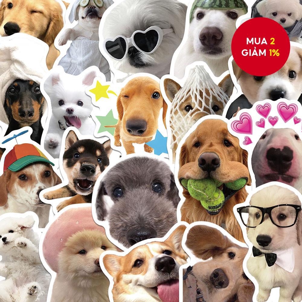 Miếng Dán Meme Chú Chó Vui Nhộn - 50 Decal Hoạt Hình DIY Cho Sổ Lưu ...