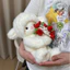 Gấu Bông Cừu Trắng Ôm Hoa Hồng - Quà Tặng Người Yêu 2in1 Valentine Ấm Áp,Mềm mại và dễ thương