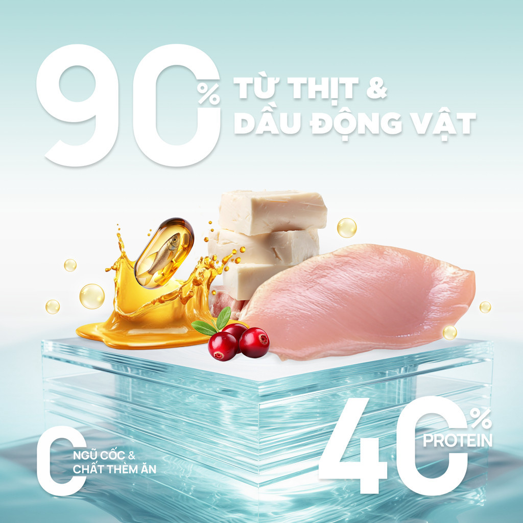 Hạt cho mèo PetQ, Hạt cho mèo có nhân Churro C90 90% từ thịt & dầu động vật, Dinh dưỡng, dễ tiêu hóa