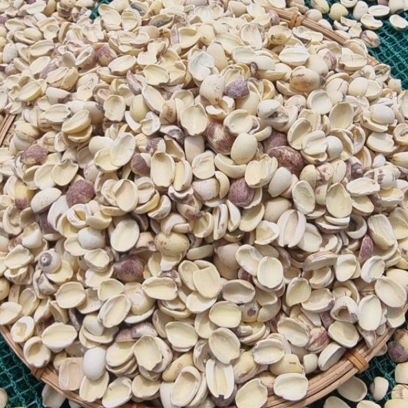 500g Hạt Sen Vỡ Trắng - Nấu Thơm - Giàu Dinh Dưỡng | Hạt Sen Tươi Đồng Tháp