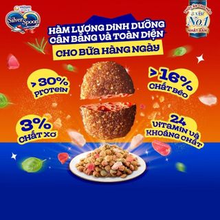 [1KG] Hạt Silver Spoon Nhật Bản Cao Cấp Giàu Đạm, Thức Ăn Hạt Cho Mèo Công Thức Core Coating