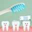 Túi 4 bàn chải trẻ em lông mềm hình thú đứng dễ thương, kèm đế hút và nắp chống bụi