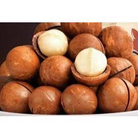 500Grm Mắc Ca Nứt Vỏ Đak Lak Size Bi - Mới, Giòn, Ngon, Date mới
