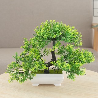 [BÁN] Chậu Cây Cảnh Nhân Tạo Cây Thông May Mắn Cây Giả Hoa Trang Trí Nhà Phòng Khách Văn Phòng Để Bàn Trang Trí Trong Nhà Nhựa Thẩm Mỹ Quà Tặng Cây Xanh