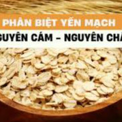 1 Kg Yến Mạch Cán Dẹt Nguyên Cám Date Mới - Bao Đổi Trả