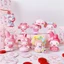 Vinyl My Melody Tea Party Series 6 Cái / bộ Hình Dễ Thương Để Bàn Đồ Trang Trí Hình Bánh Trang Trí Búp Bê