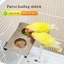 Thức ăn cho chim chống rỉ sét hàng đầu với nền tảng cá rô 2 cốc để gắn lồng Vẹt Hamster Thức ăn cho thú cưng Tưới nước Supp