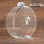 Top Auto Touch Activated Bird Waterer 250ml Lồng đính kèm Phụ kiện tưới nước