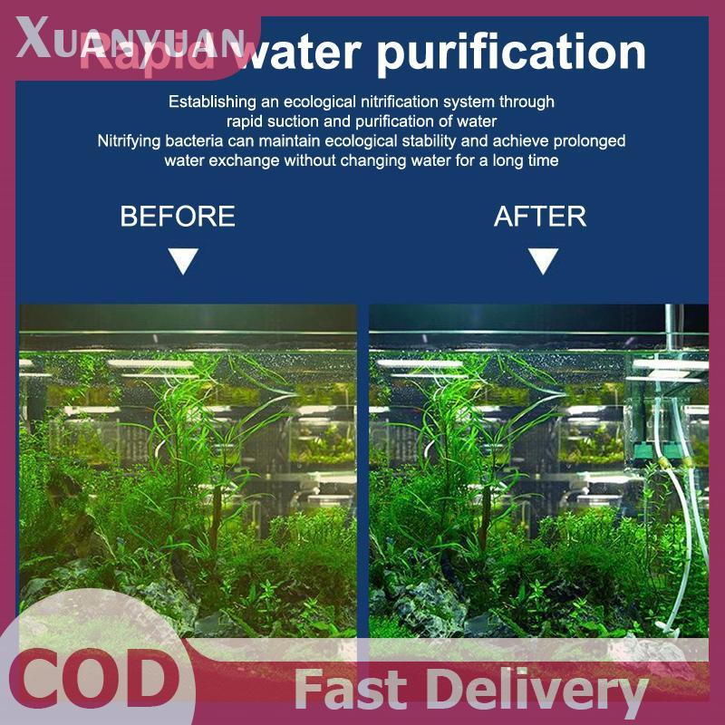 XUAN 3 Trong 1 Bể Cá Lọc Bơm Im Lặng Cá Chìm Khí Oxy Máy Hút Khí Bể Cá Máy Bơm Không Khí Nước Máy Bơm Sóng Máy Làm VN