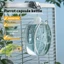 Top Auto Touch Activated Bird Waterer 250ml Lồng đính kèm Phụ kiện tưới nước