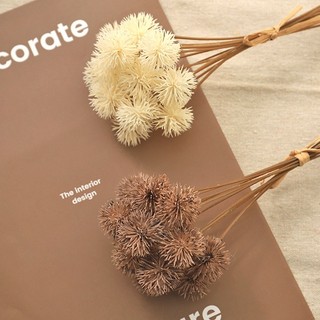 Hoa Giả Bồ Công Anh Cầu Gai Trang Trí Phòng Vintage Decor Đẹp Bó Lụa Cao Cấp Đạo Cụ Chụp Ảnh Phong Cách Hàn Quốc Màu Be Nâu Dương Xỉ Cỏ Lau Khô Sắp Xếp Đám Cưới Phụ Kiện Nội Thất Sang Trọng Quà Tặng Studio Sáng Tạo Hiện Đại Tinh Tế Thẩm Mỹ Ban Công