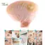 PlumHOUSE 10X Hệ Thống Một Mảnh Túi Colostomy Dùng Một Lần Ostomy Thoát Nước Bộ Túi Đơn VN