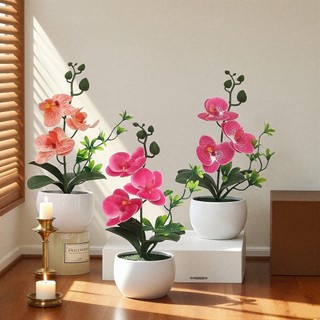 Chậu Hoa Lan Hồ Điệp Giả Trang Trí Nhà Cửa Để Bàn Làm Việc Decor Cao Cấp Giống Thật Lụa Phalaenopsis Cây Cảnh Văn Phòng Quà Tặng Sang Trọng Tinh Tế Phụ Kiện Chụp Ảnh Nội Thất Mini Hiện Đại Xinh Xắn Điểm Nhấn Không Gian Ban Công