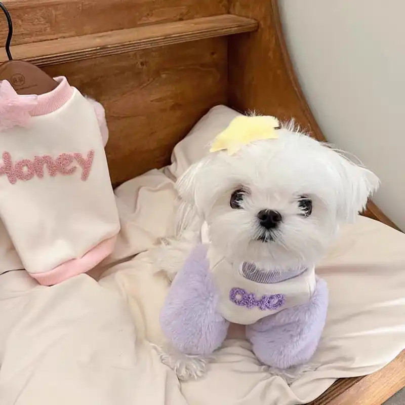 Mùa Thu Đông Thú Cưng Áo Lông Cừu Ấm Quần Áo Cho Chó Teddy Bichon Quần Áo Mèo Nhỏ Chó Mùa Đông Quần Áo