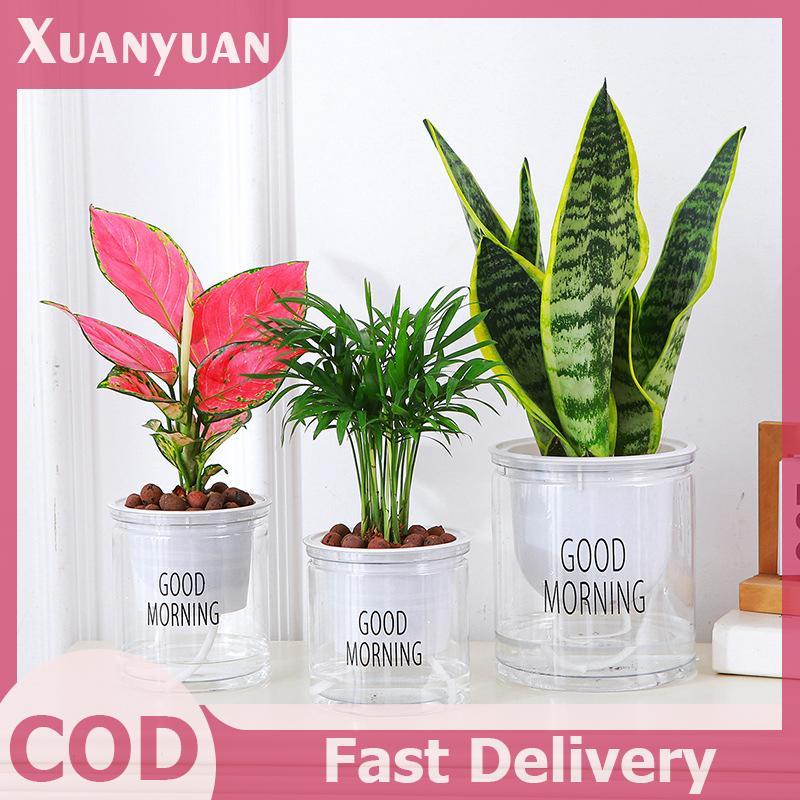 XUAN Lười Thủy Canh Chậu Hoa Tự Động Hút Nước Trong Suốt Hai Lớp Nhựa Tự Tưới Cây Văn Phòng VN