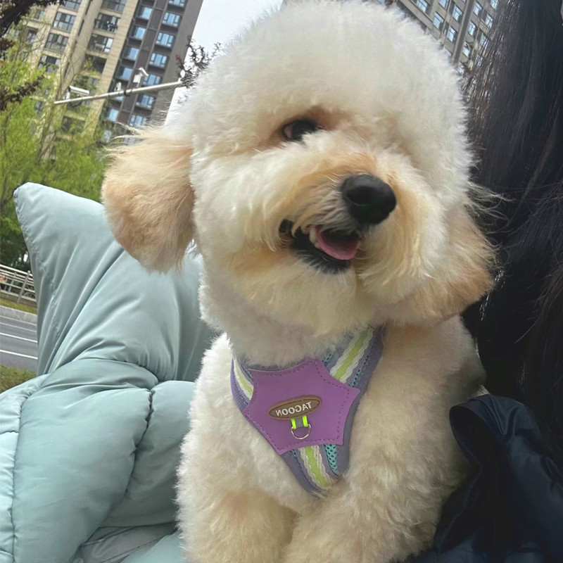 [Pet-Eleven] 26 kiểu Dây đeo ngực thú cưng thời trang Dây xích ngực phản quang hình chữ I Đêm phản quang Phản quang Chống cháy nổ Mùa hè Dây đeo ngực thoáng khí nhẹ Dây xích đi bộ cho chó Mèo / Chó nhỏ Pomeranian / Teddy / Chó Mã Lai