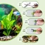 Top 50 Chiếc Linh Hoạt Cá Thực Vật Neo Cho Bể Cá Kiểm Soát Thực Vật Uốn Cong Hình Dạng Trọng Lượng Cho Nhiều Kích Thước Thân