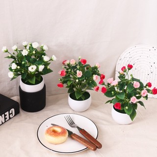 Chậu Hoa Hồng Giả Mini Trang Trí Để Bàn Cây Cảnh Decor Nhà Cửa Bông Lụa Cao Cấp Trưng Bày Văn Phòng Kệ Sách Đạo Cụ Chụp Ảnh Phong Cách Bắc Âu Hiện Đại Bonsai Nhỏ Màu Sắc Tươi Sáng Kèm Chậu Nhựa Trắng Bền Đẹp Xinh Xắn