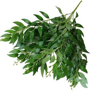 Nhân Tạo Lá Liễu Nhánh Cây Giả Thẩm Mỹ Trang Trí Nhà Tiệc Cưới DIY Rừng Lá Nho Lụa Cây Xanh Bắc Âu Trang Trí Phòng Đạo Cụ Ảnh