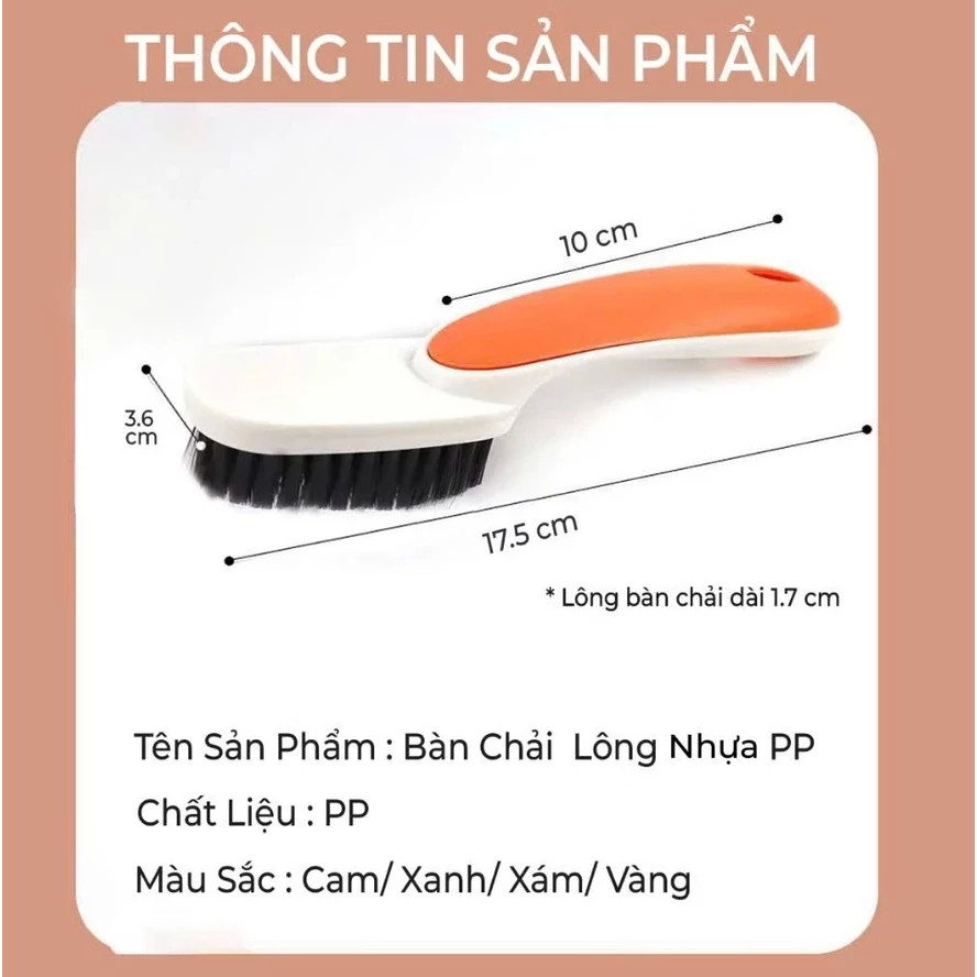 COMBO 5 Chiếc Bàn Chải Đánh Giày Lông Nhựa PP Mềm Mại, Bàn Chải Đa Năng Cầm Tay Tiện Lợi.