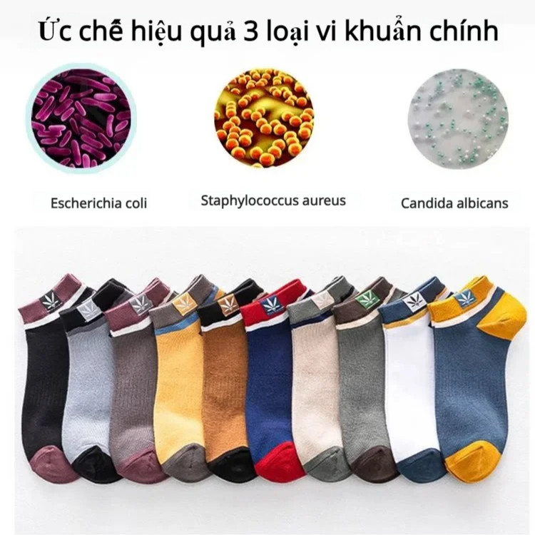 ⚡COD⚡Tất thể thao phong cách Nhật Bản dành cho học sinh/Tất ngắn nam / tất nam cổ ngắn cao cấp/tất cổ ngắn nam