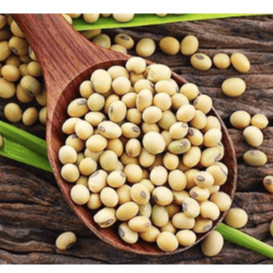 1kg Đậu Nành, Đậu Tương Thuần Chủng thu hoạch trực tiếp nông dân - Không chất bảo quản