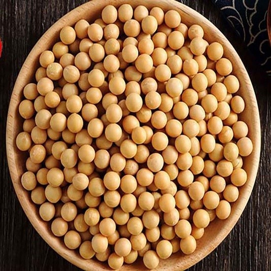 1kg Đậu Nành, Đậu Tương Thuần Chủng thu hoạch trực tiếp nông dân - Không chất bảo quản