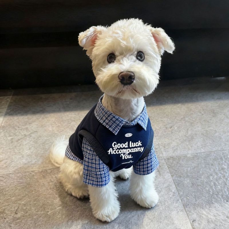 Quần Áo Chó Con Giả Hai Mảnh Màu Sắc Phù Hợp Với Áo Sơ Mi Polo Thú Cưng Thu Đông Schnauzer Bichon Teddy Nhỏ Vừa Chó Hai Trứng