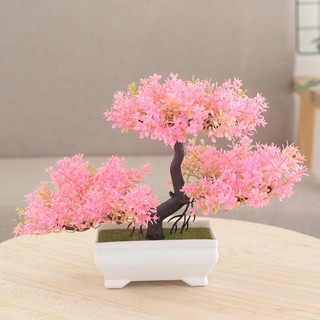 [BÁN] Chậu Cây Cảnh Nhân Tạo Cây Thông May Mắn Cây Giả Hoa Trang Trí Nhà Phòng Khách Văn Phòng Để Bàn Trang Trí Trong Nhà Nhựa Thẩm Mỹ Quà Tặng Cây Xanh