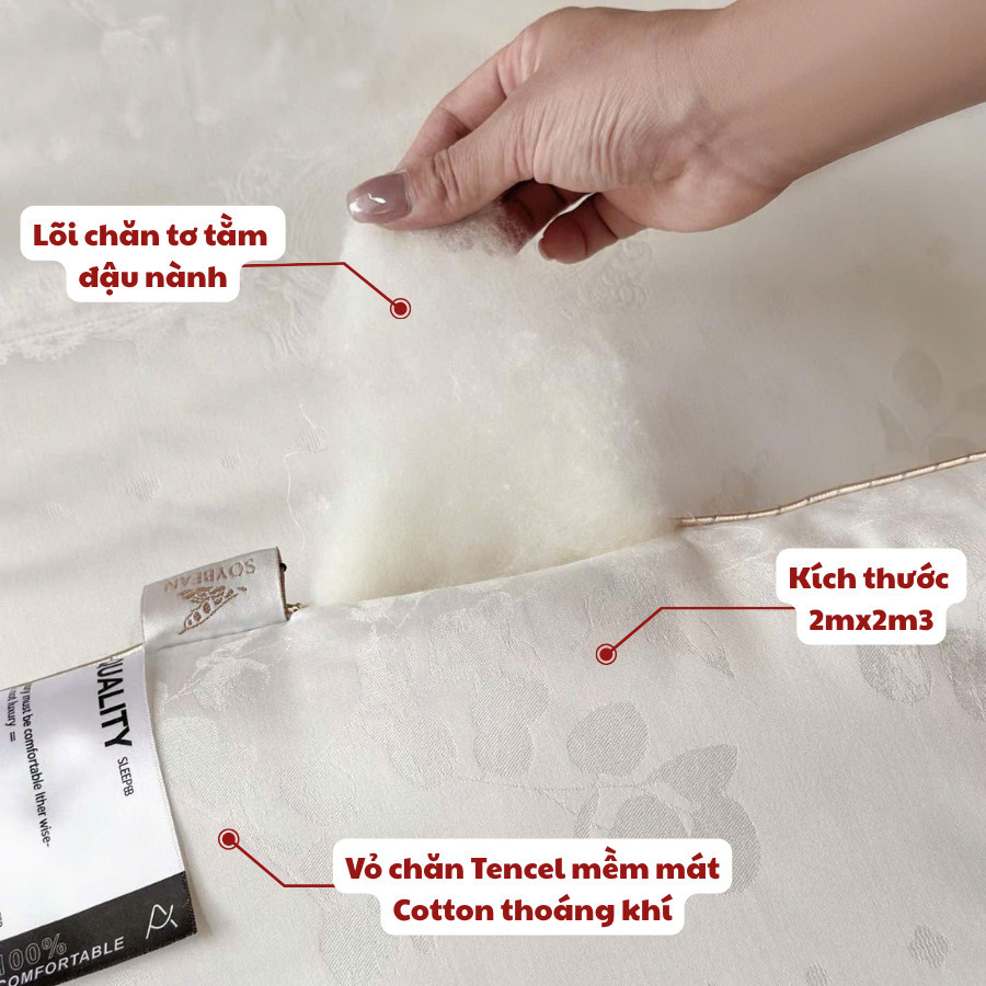 Ruột chăn Tencel Cotton dệt Jacquard Memminbedding Luxury mềm mịn Êm nhẹ  dệt nổi hoa văn tinh tế - CH665