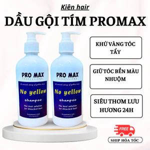 Dầu gội tím Promax, dầu gội khử vàng và giữ màu dành cho tóc tẩy nhuộm | Trunghair